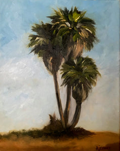 Palm Study